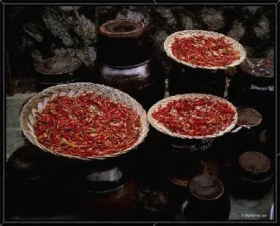 Картина Перец №18