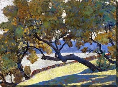 Деревья на берегу моря