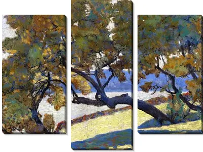 Деревья на берегу моря