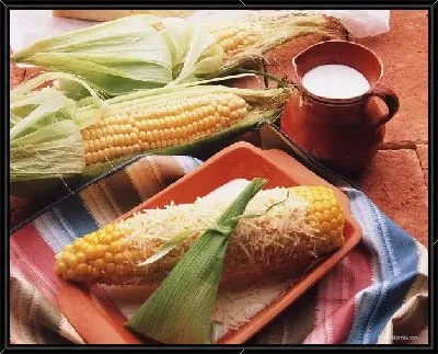 Кукуруза №10