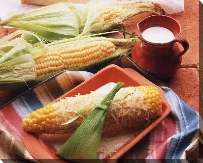 Кукуруза №10