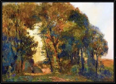 Деревья на закате