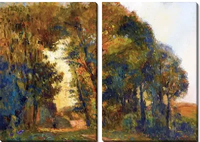 Деревья на закате