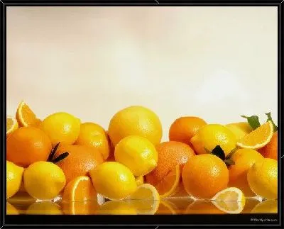 Картина Апельсины №5