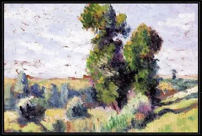 Деревья на поляне