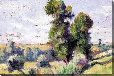 Деревья на поляне