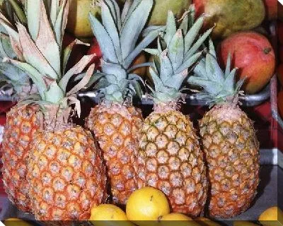 Ананасы