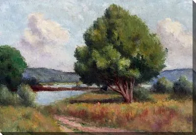 Деревья у реки