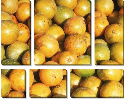 Модульная картина Апельсины №6