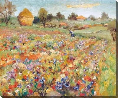 Поле с маками