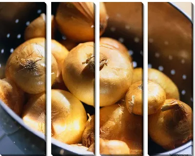 Модульная картина Лук №4