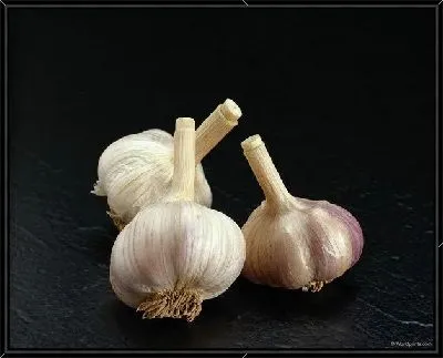 Картина Чеснок №6