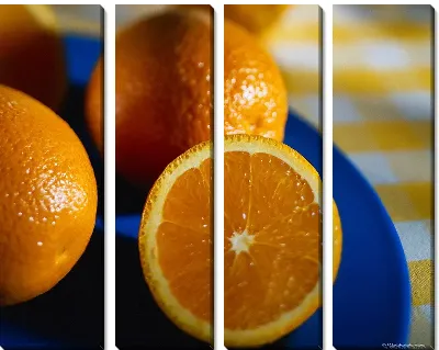 Модульная картина Апельсины №8