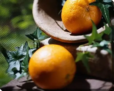 Постер Апельсины №9