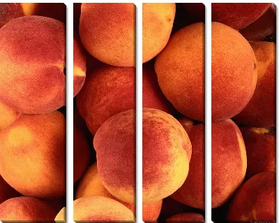 Модульная картина Персики №3