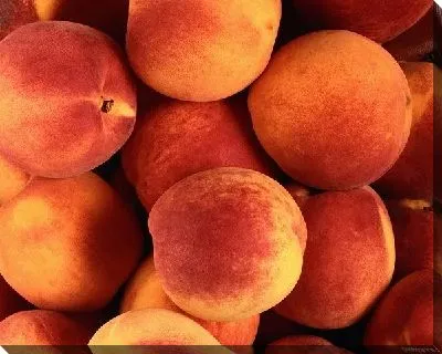 Постер Персики №3