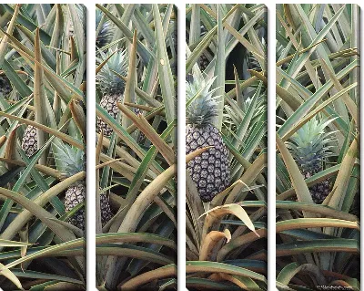 Модульная картина Ананасы №3