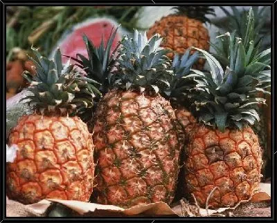 Картина Ананасы №4