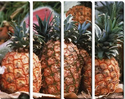 Ананасы №4