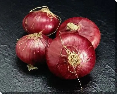 Постер Лук №5