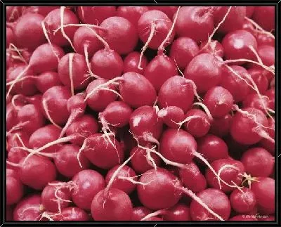 Картина Редис №3