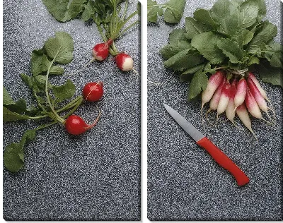 Модульная картина Редис №4