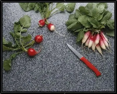 Картина Редис №4