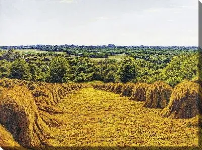 Картина Поле №21