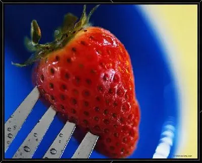 Картина Клубника №6