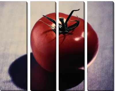 Модульная картина Томаты №7