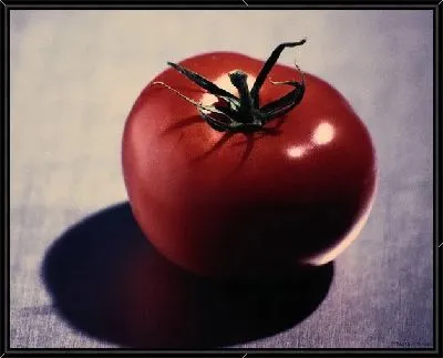 Картина Томаты №7