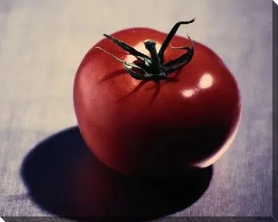 Постер Томаты №7