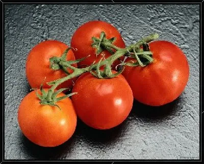 Томаты №8