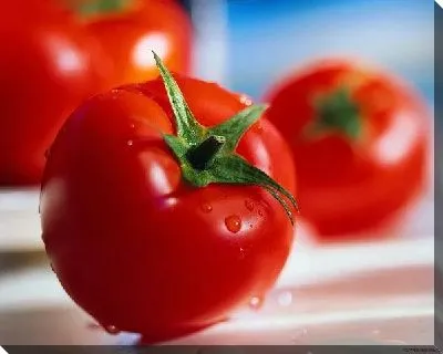 Томаты №9