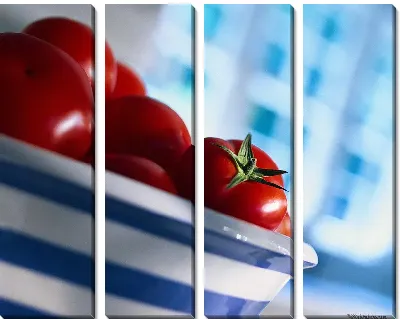 Модульная картина Томаты №11