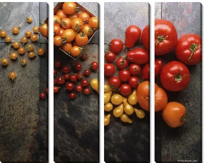 Модульная картина Томаты №12