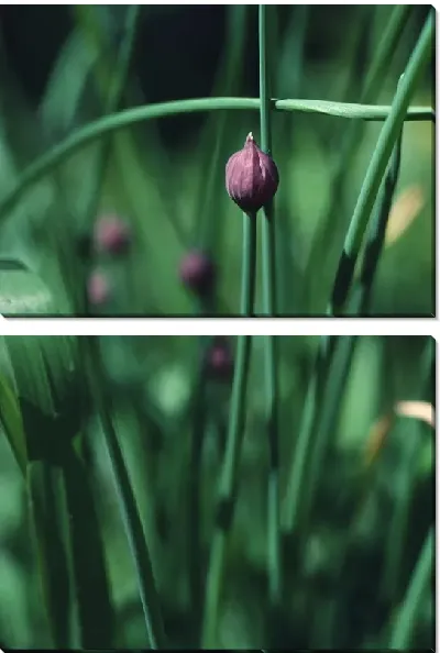 Модульная картина Цветы №3