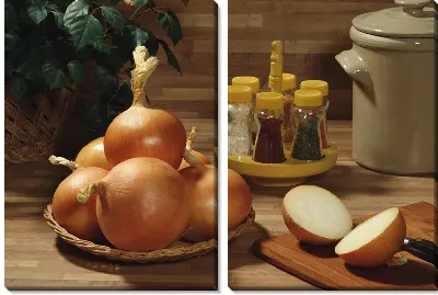 Модульная картина Лук №6