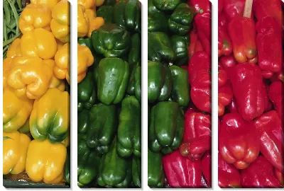 Модульная картина Перец №20