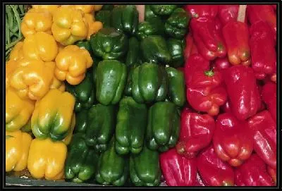 Картина Перец №20