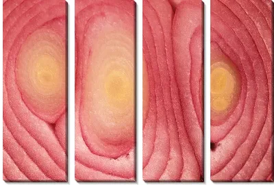 Модульная картина Лук №7