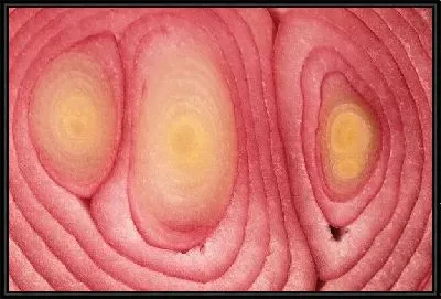 Картина Лук №7