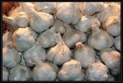 Картина Чеснок №7