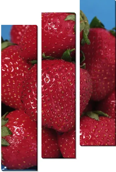 Модульная картина Клубника №7
