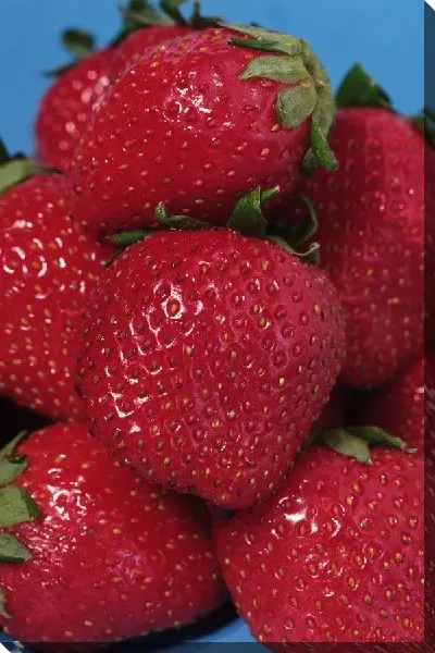 Постер Клубника №7