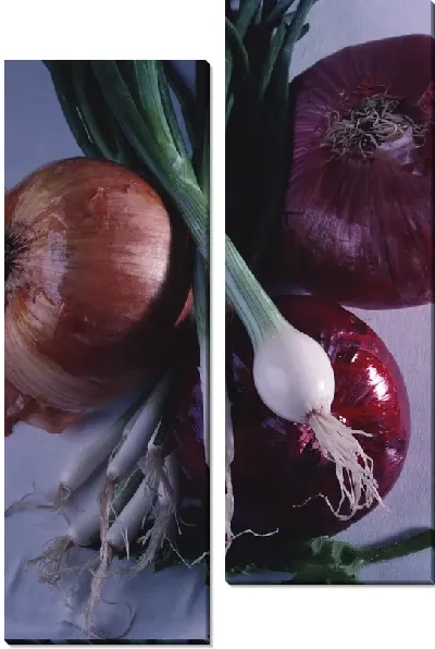 Модульная картина Лук №8