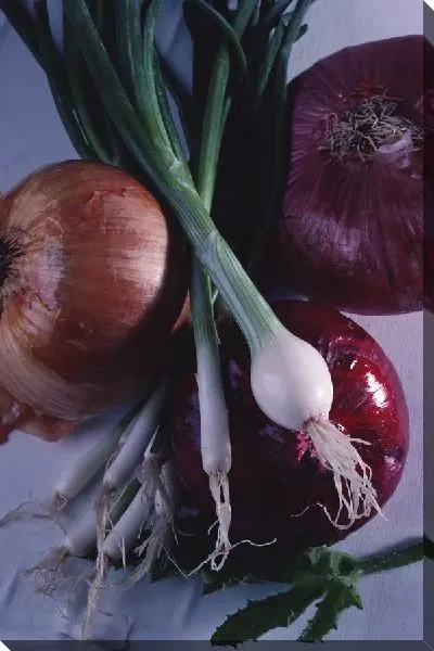 Постер Лук №8