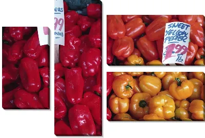 Модульная картина Перец №21