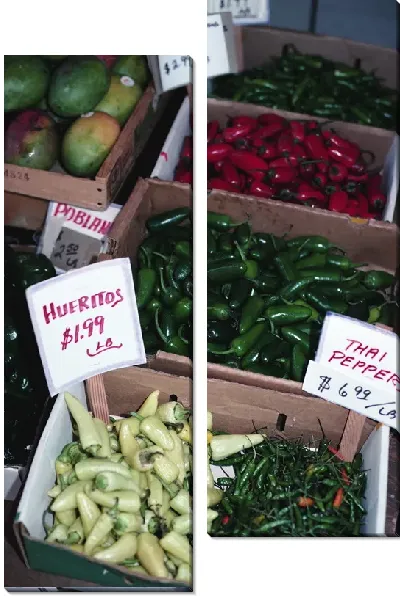 Модульная картина Перец №22