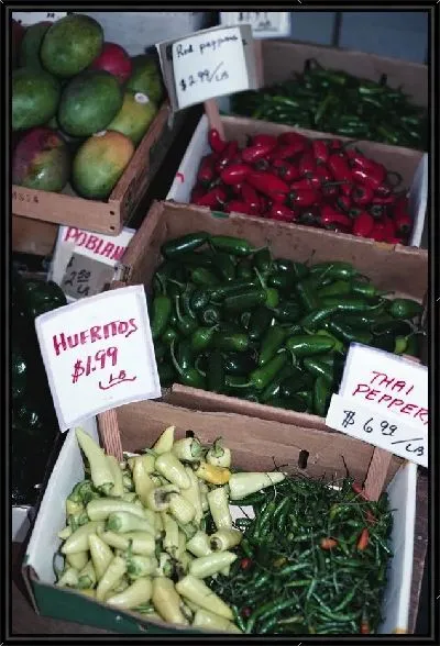 Картина Перец №22